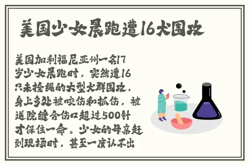 美国十次啦网站导航